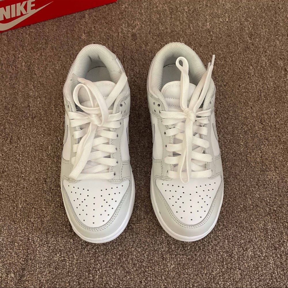 nike pronto dust low dunks